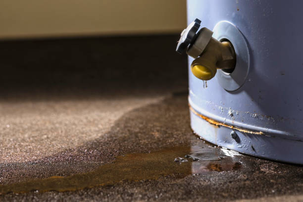 Best Fire Damage Restoration  in Pontiac, IL