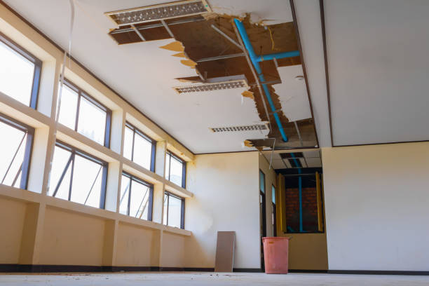 Best 24-hour water damage restoration  in Pontiac, IL