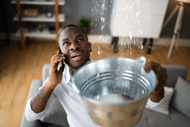 Best Flood damage cleanup  in Pontiac, IL