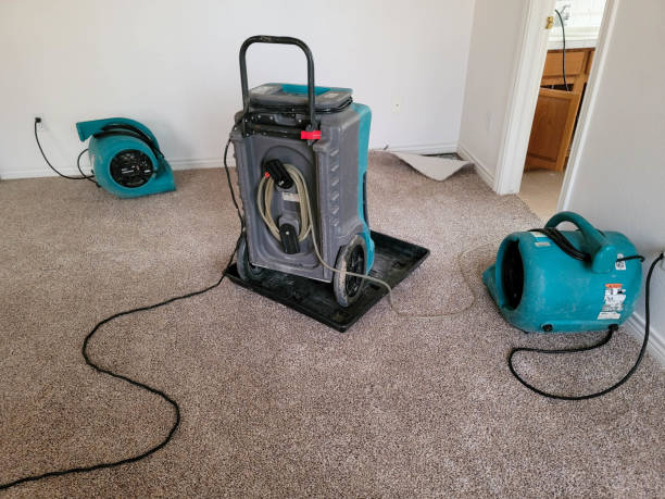 Best Commercial water damage restoration  in Pontiac, IL