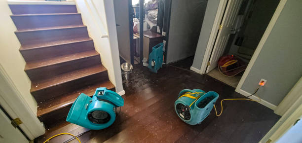 Best Water damage restoration near me  in Pontiac, IL