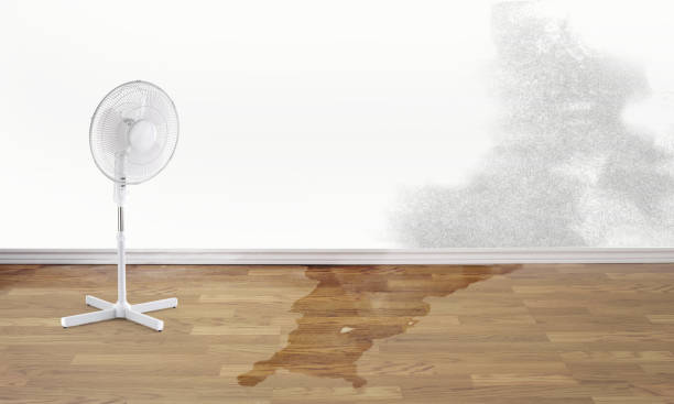 Best Water damage restoration near me  in Pontiac, IL
