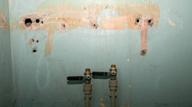 Best Water damage repair service  in Pontiac, IL
