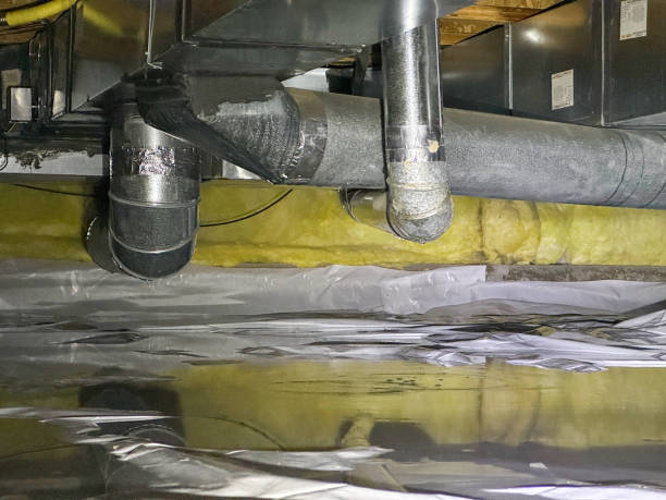Best Sewage cleanup and water damage restoration  in Pontiac, IL