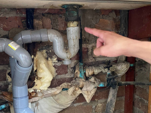 Best Local water damage restoration  in Pontiac, IL