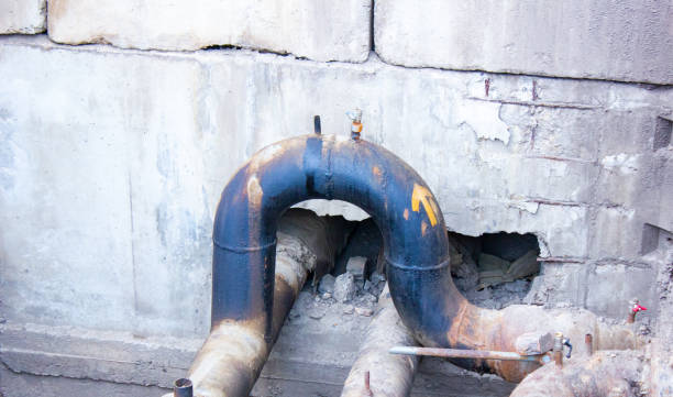 Best Mold removal after water damage  in Pontiac, IL
