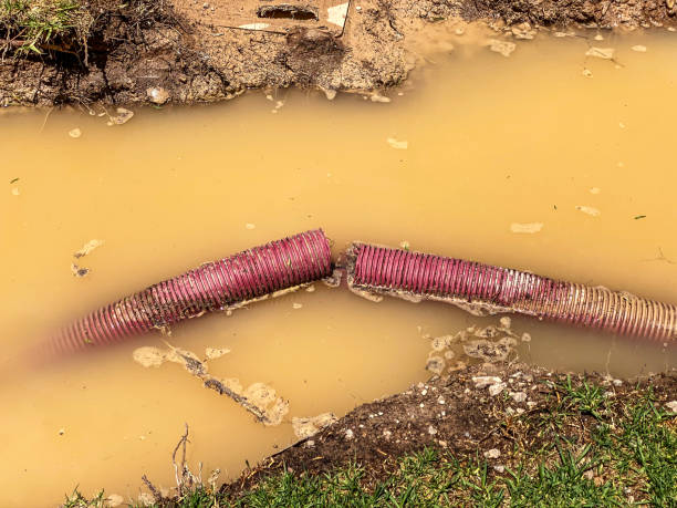 Best 24/7 water damage repair  in Pontiac, IL