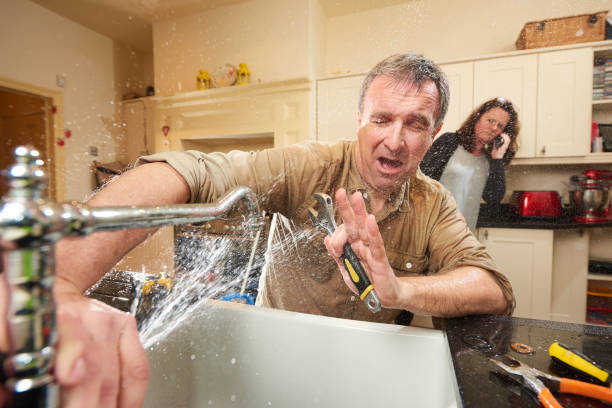 Best Professional water damage repair  in Pontiac, IL